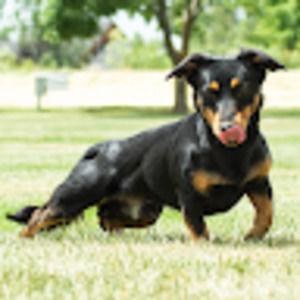 Meet your Posher, Chelsy